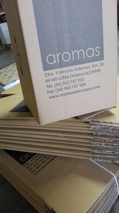 ¿CUALES SON LAS MEJORES CAJAS DE CARTON?